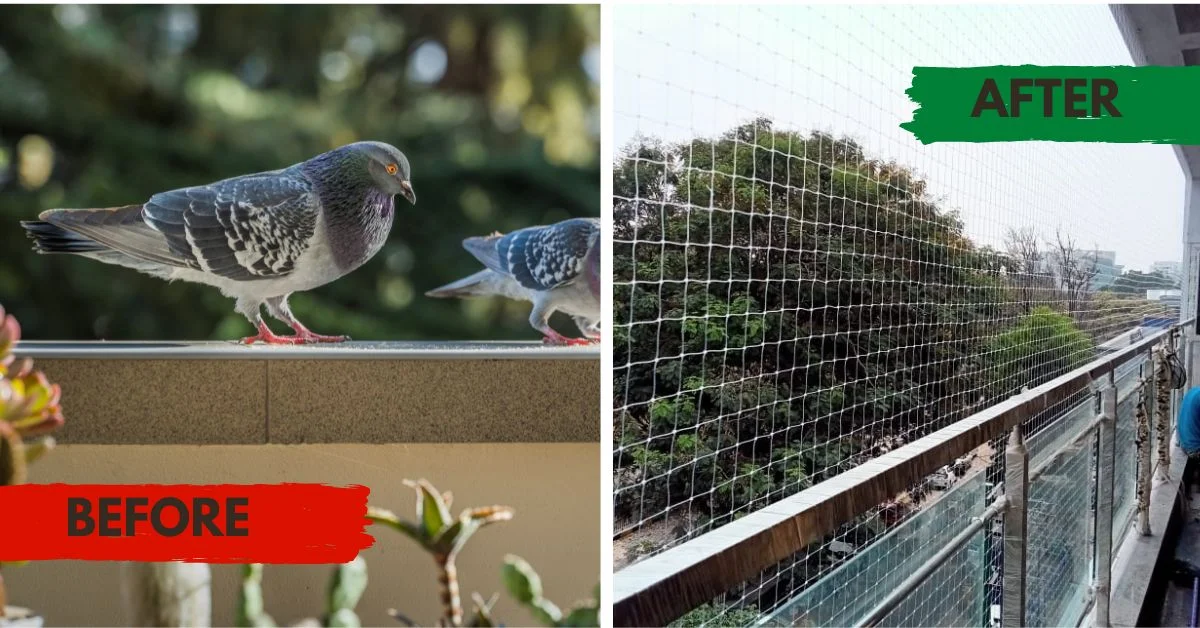 Bird Net Installation Team
